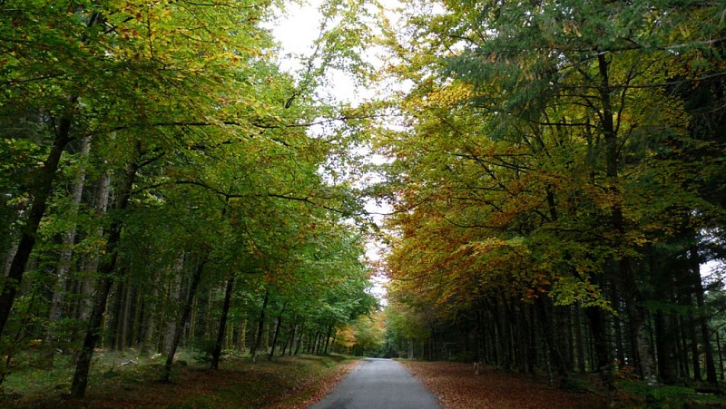 Le toit du Limousin (variante de 17km)