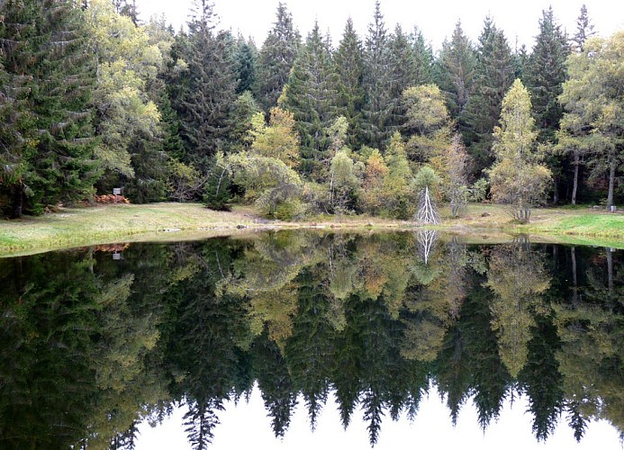 Le toit du Limousin (variante de 17km)