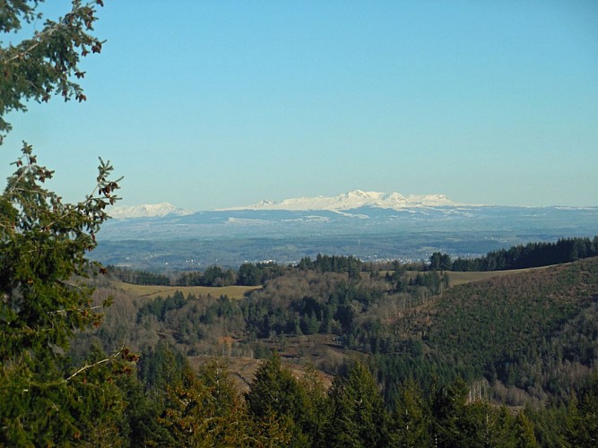 Vue sur le Sancy depuis le Mont Bessou_1