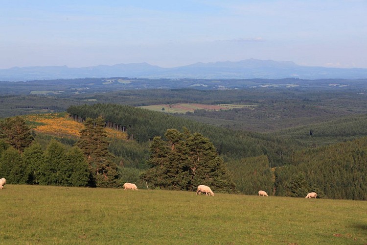 Le chemin des chapelles_1