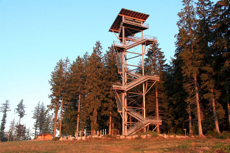 VTT - Gravel - Monts et bruyères - 16 km - circuit 8
