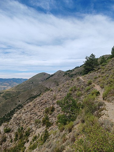 La Bigue (1653 m) - Difficile 22 Km - 7h_Thoard