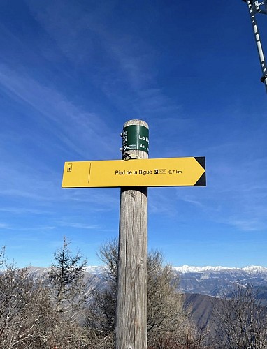 La Bigue (1653 m) - Difficile 22 Km - 7h_Thoard