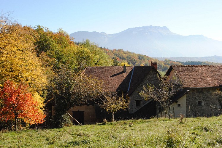 Maison bâti traditionnel Rando Empreintes des chartreux
