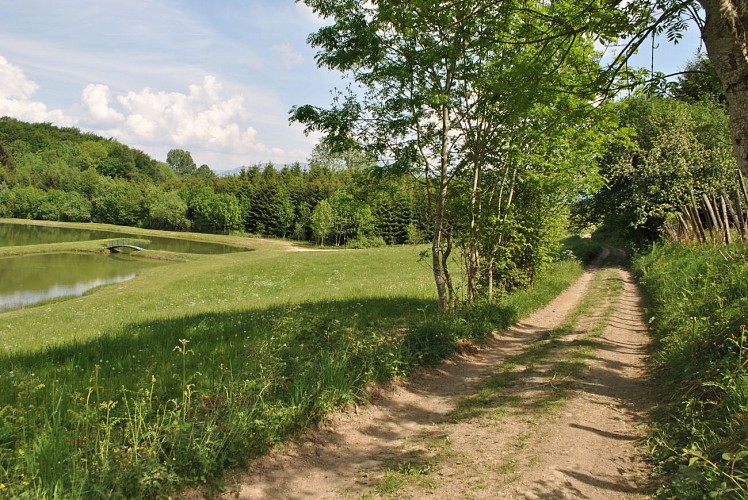 Rando St Aupre Empreintes de Chartreux