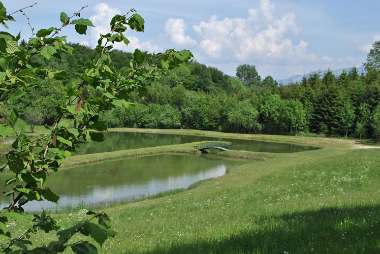 Rando St Aupre Empreintes de Chartreux