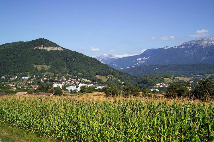 Le parcours du marché vue depuis Charauze