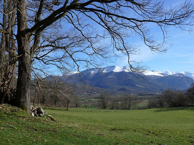 Boucle-du-Bassin-d-Arudy-4-2