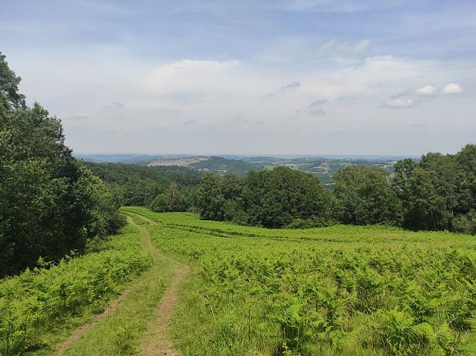 La vue sur la plaine