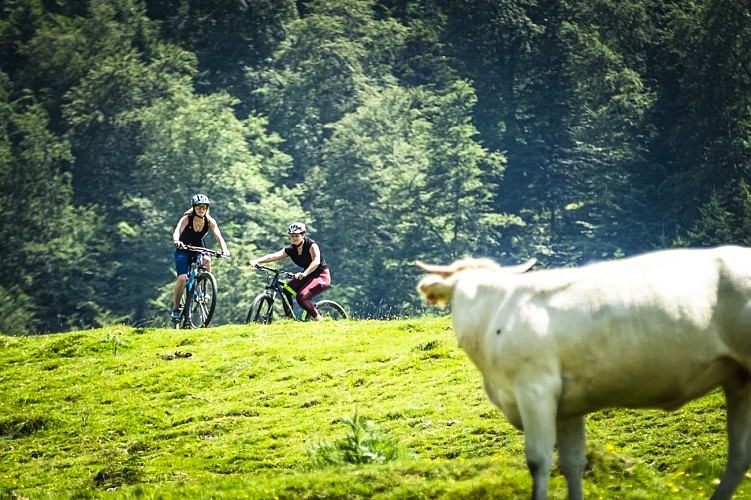 vttfunvalley-montagneverte8©paysdebearn-adrienb-cathalinat2020