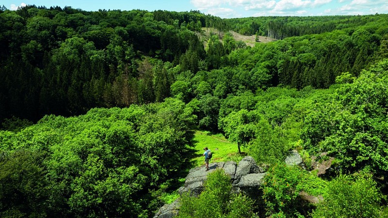 Le Grand Tour des Forêts d'Ardenne | La forêt au fil de l'eau