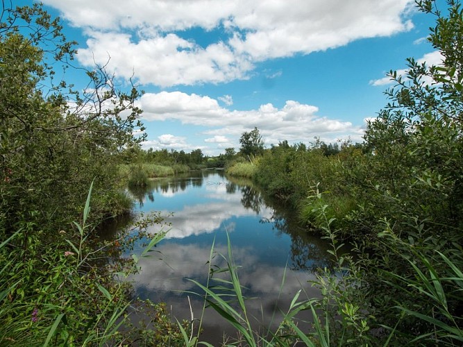 Marais de la Souche