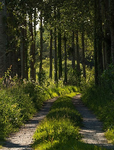 Marais_Saint_Boetien©Champagne-Picarde_Sylvain-Prémont