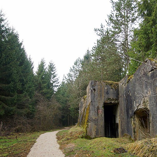 Balade Historique - Le Sentier de Froideterre