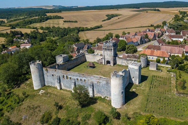 Château de Druyes 