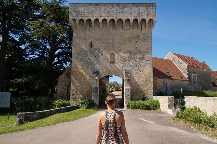 Druyes-les-belles-fontaines 