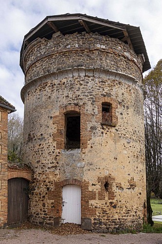 sentier-de-la-folie-saint-sauveur-en-puisaye ©Claude Nihouarn (3)