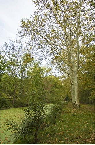 sentier-de-la-folie-saint-sauveur-en-puisaye ©Claude Nihouarn (1)