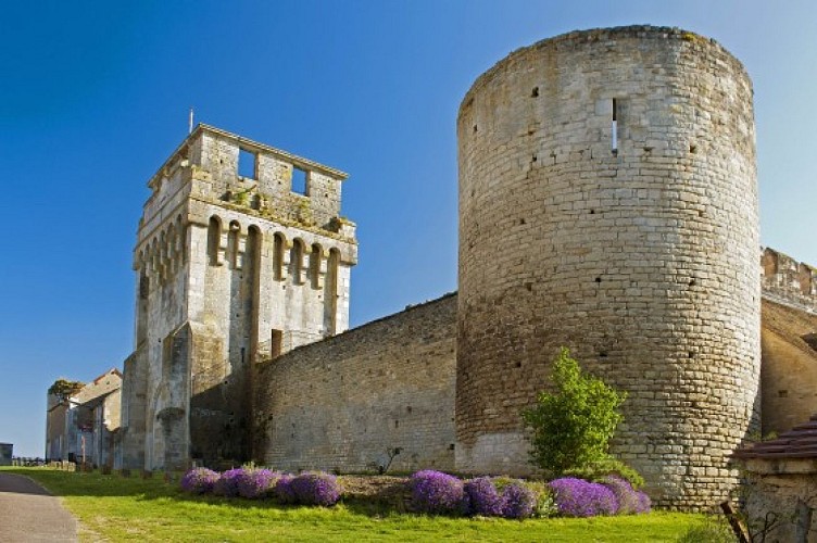 Château de Druyes