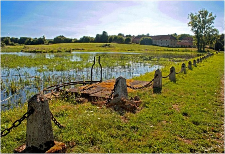 m-l-orme-du-pont-visorando-8849