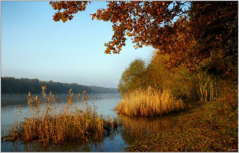 puisaye-etang-de-moutiers-16-11-2013-1024x659