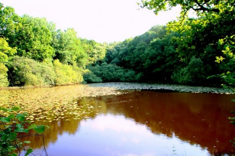 m-la-reserve-piscicole-de-l-etang-de-moutiers-visorando-5688