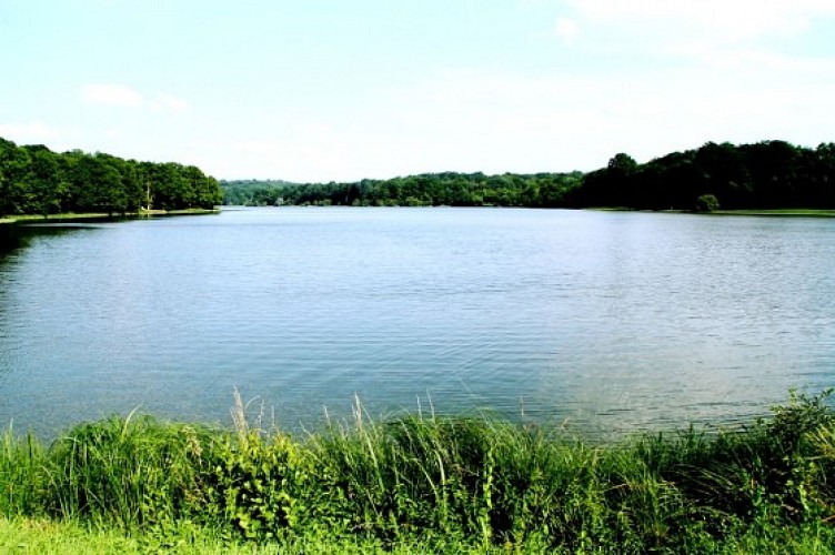 m-vue-generale-de-l-etang-depuis-la-digue-visorando-5689