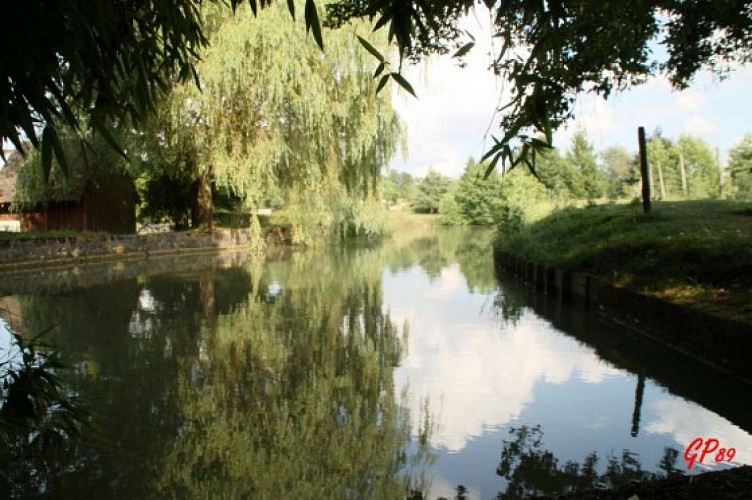 m-le-bief-du-moulin-de-vanneau-visorando-6039