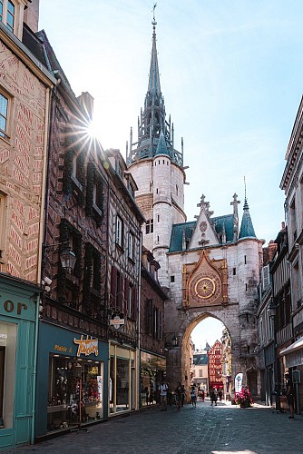 Auxerre_Copyright Teddy Bear (13)