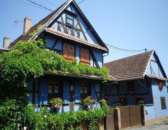Découverte de Ringendorf
