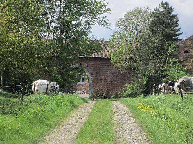 Circuit à la découverte des campagnes de Fexhe, Streel et Freloux