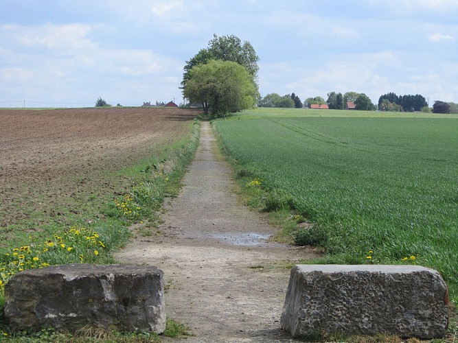 Circuit à la découverte des campagnes de Fexhe, Streel et Freloux