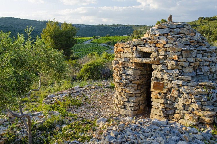 Randonnée Gardiole et Garrigue