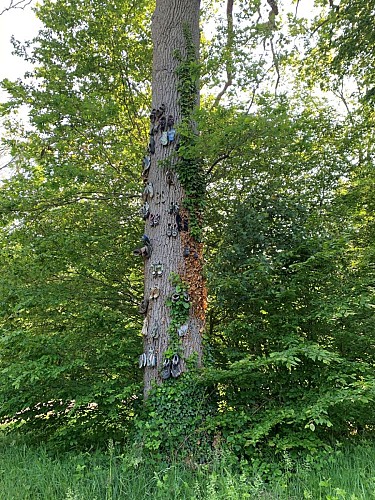 circuit de l'abbaye sur les pas de Stevenson - 2