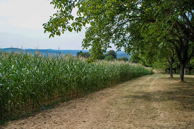 La chapelle de l'Epinouse