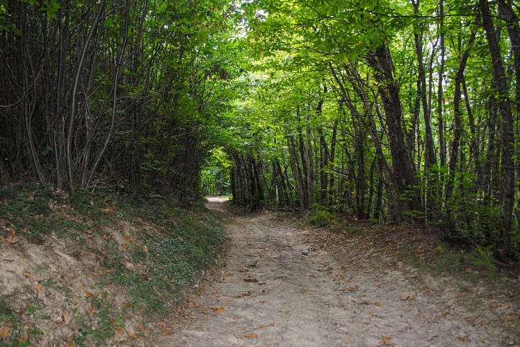 La chapelle de l'Epinouse