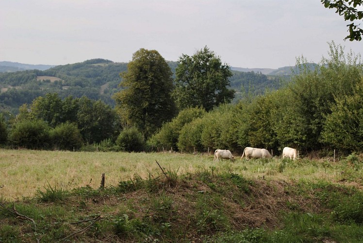La chapelle de l'Epinouse