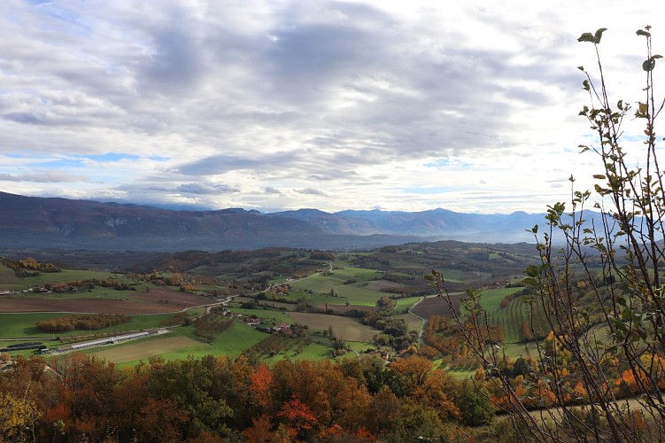 Tour des points de vue