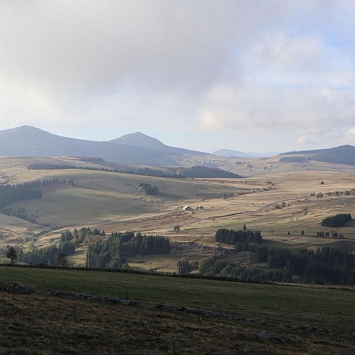 Le Mont d'Alambre et le Mont Mézenc en boucle