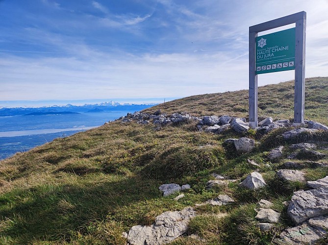 Itinerant hiking : on the roof of the Jura mountains_Mijoux