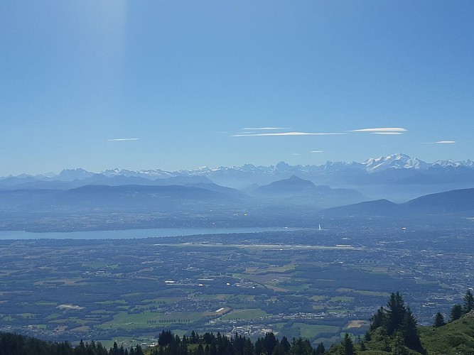 Itinerant hiking: the balcony of Lake Geneva