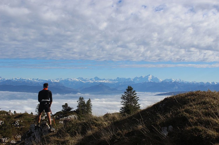Uitzicht vanaf de bergkammen