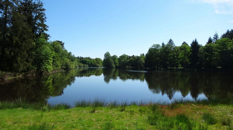 Sologne - Le Ciran - Autour de Ménestreau en Villette