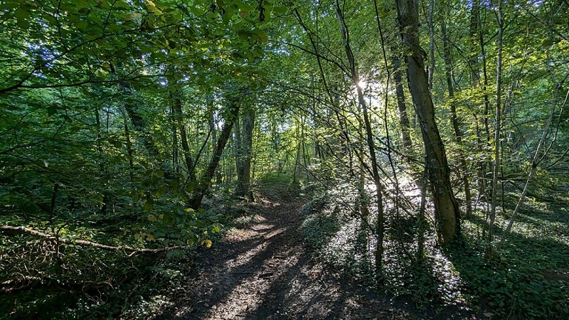 Chemin des Romains II