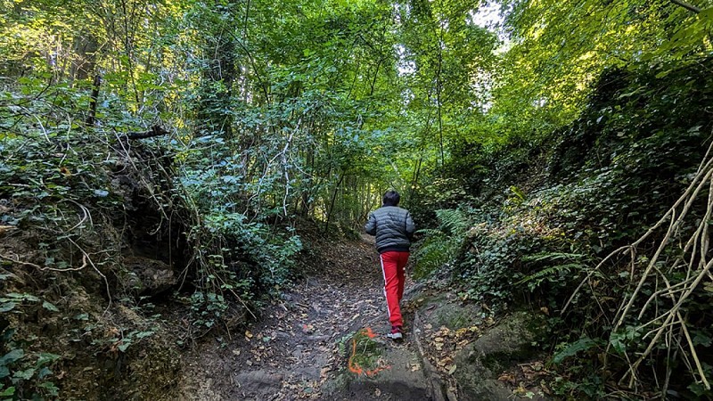 Chemin des Romains IV