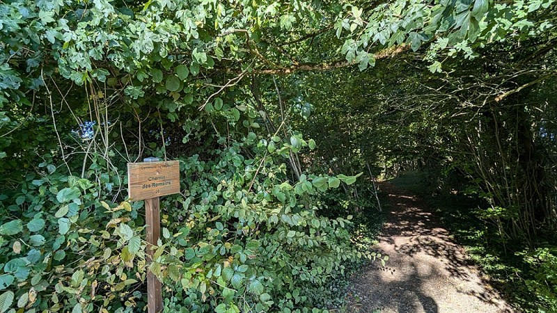 Chemin des Romains