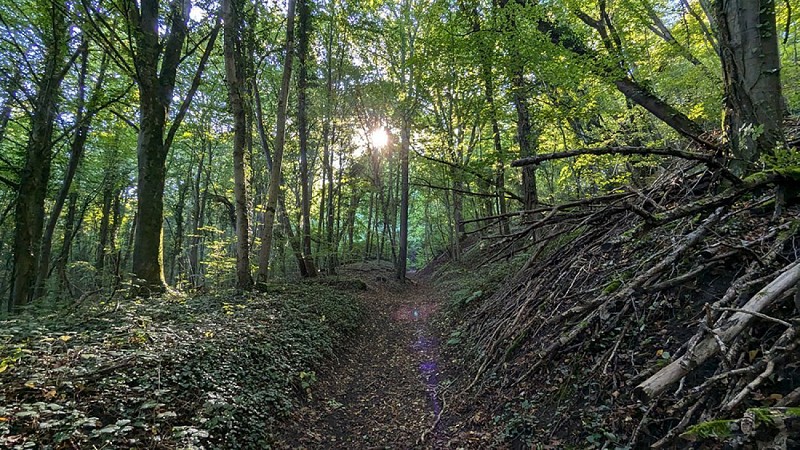 Chemin des Romains III