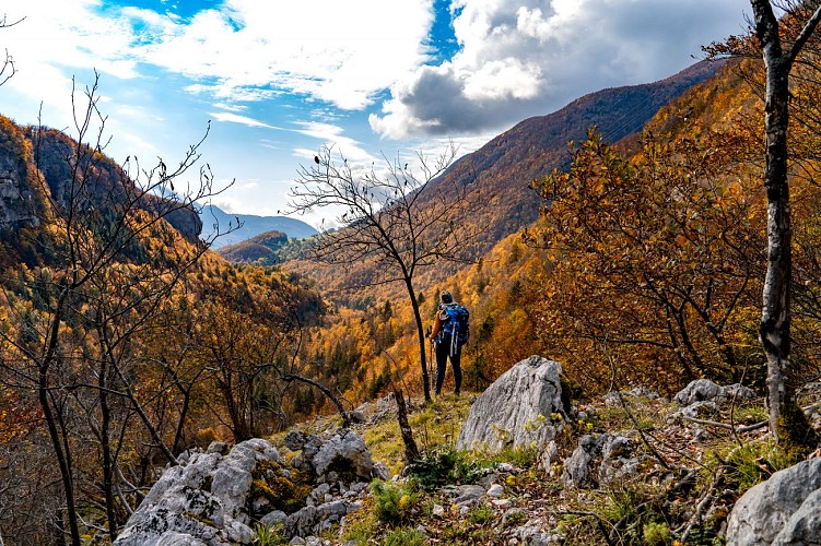 Wandeling : De Valserijnen_Lélex