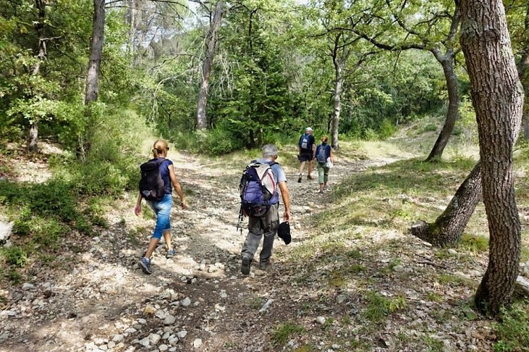 Sentier de la Colline des Pâtis