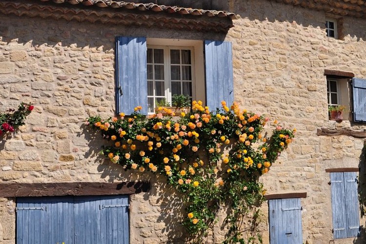 Ansouis, village fleuri